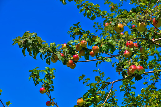 1111543 (a): :2500x1660